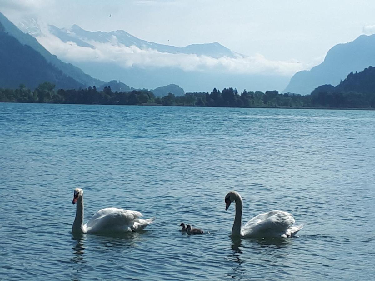 Berner Oberland Am Thunersee Darligen Luaran gambar