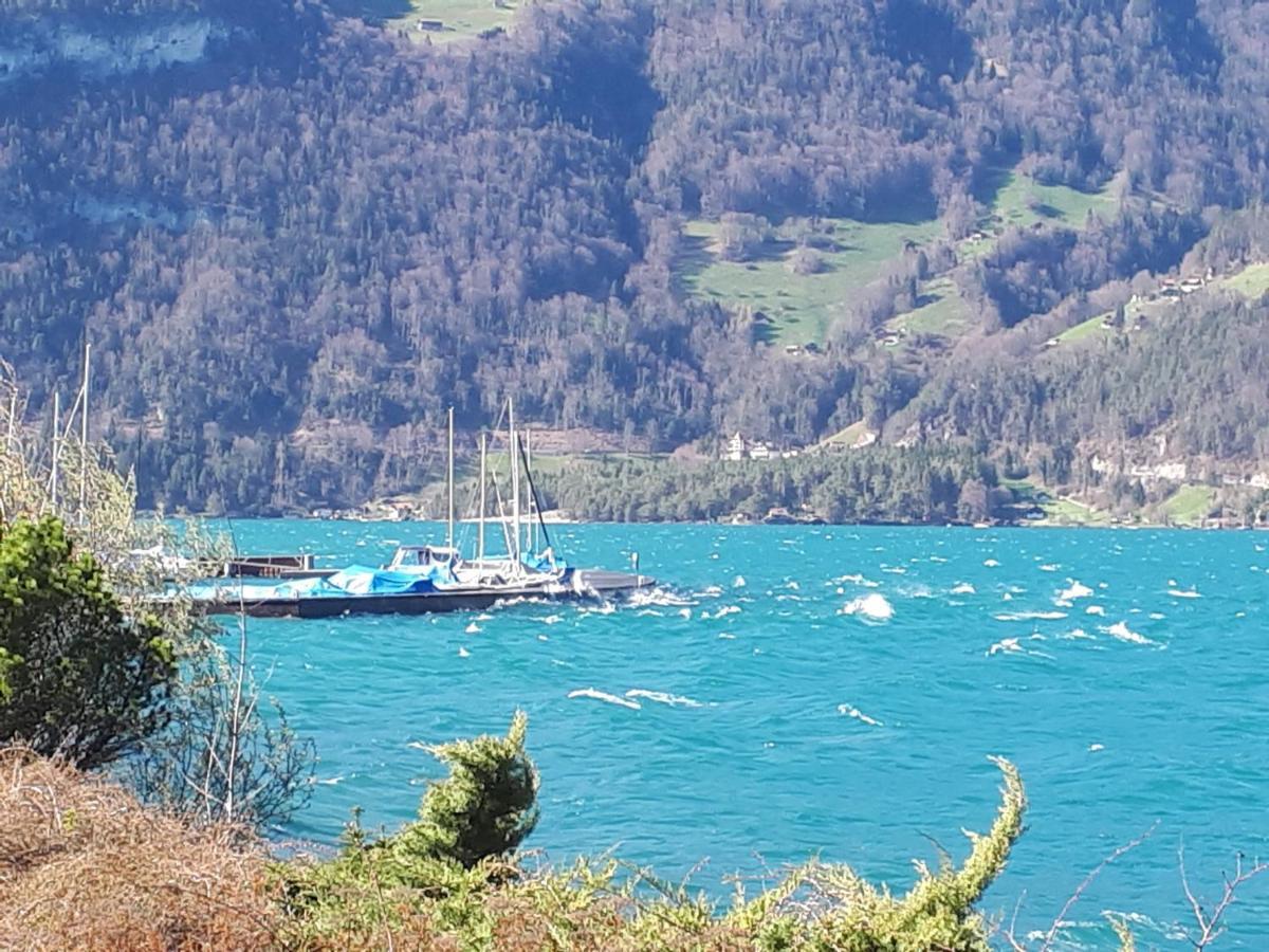 Berner Oberland Am Thunersee Darligen Luaran gambar